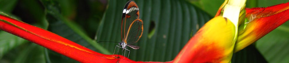 Fachärztin für Psychiatrie und Psychotherapeutische Medizin | Psychotherapeutin